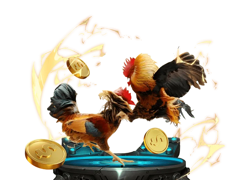 Sân bóng đá với các cầu thủ đang thi đấu